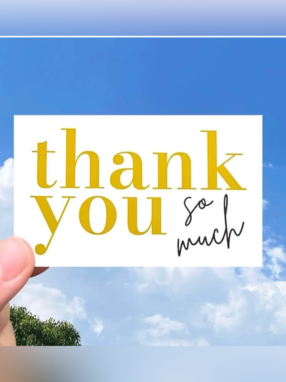 Thank you so much Cards 2x3.5 Inches Pack of 50